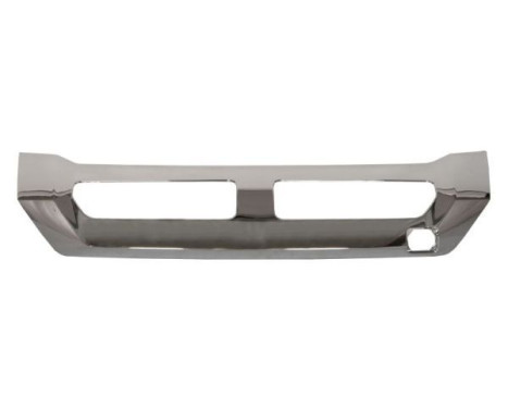 Cover, bumper
