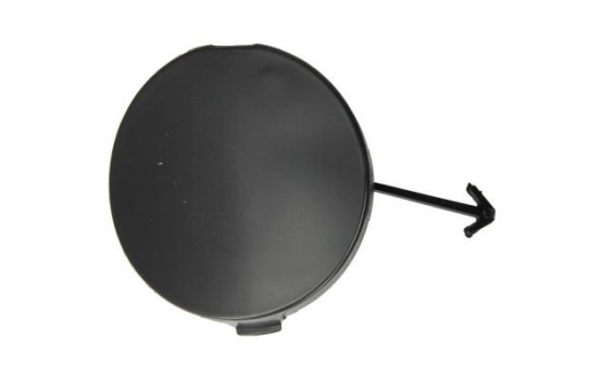 Flap, tow hook