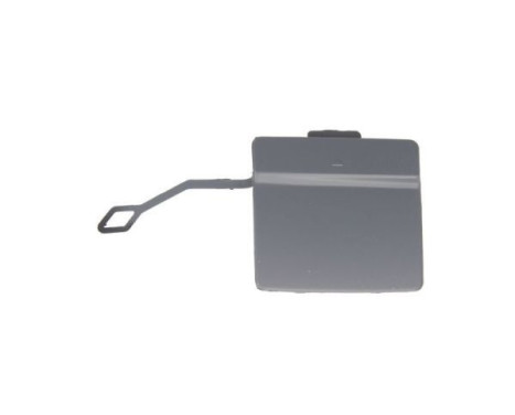 Flap, tow hook