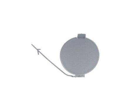 Flap, tow hook
