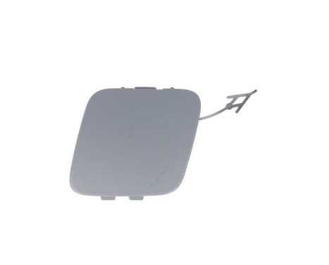 Flap, tow hook