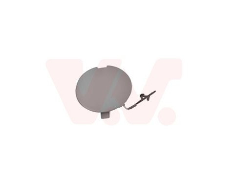 Flap, towing hook