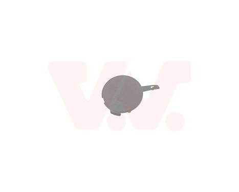 Flap, towing hook