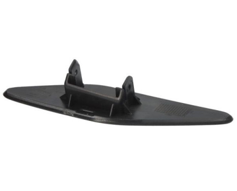 Plate, bumper, Image 2