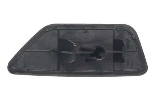 Plate, bumper, Image 2