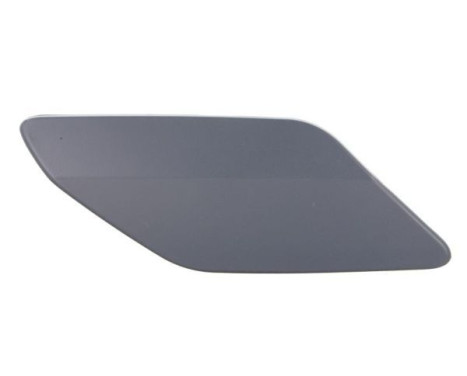 Plate, bumper, Image 3