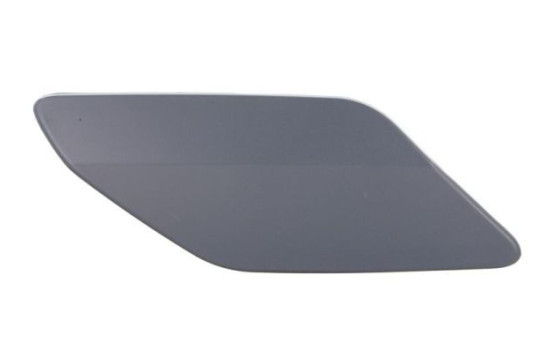 Plate, bumper, Image 3