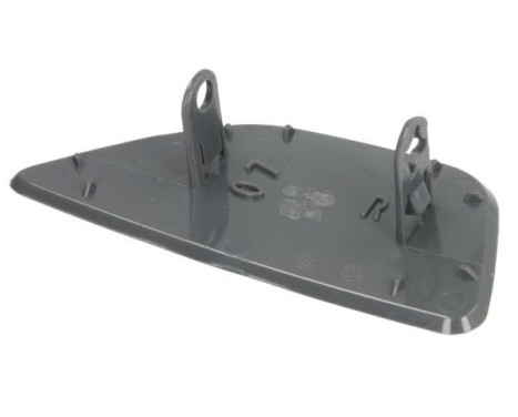 Plate, bumper, Image 2