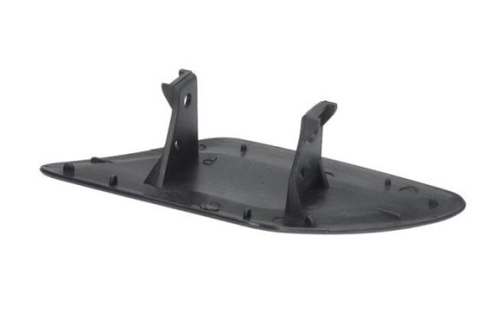 Plate, bumper, Image 2