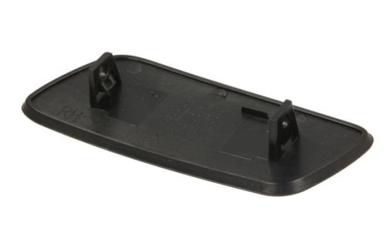 Plate, bumper, Image 2