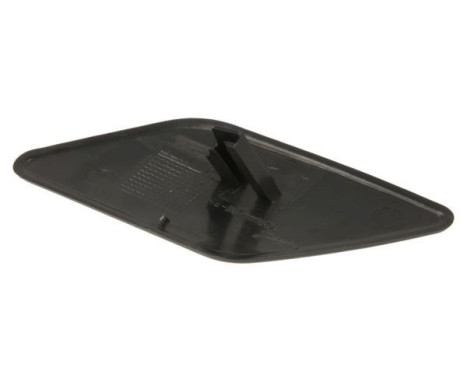 Plate, bumper, Image 2
