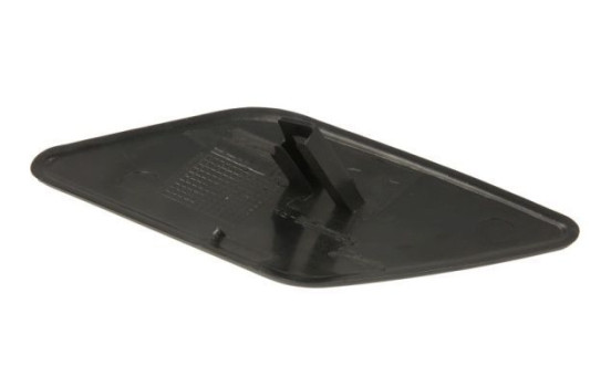 Plate, bumper, Image 2