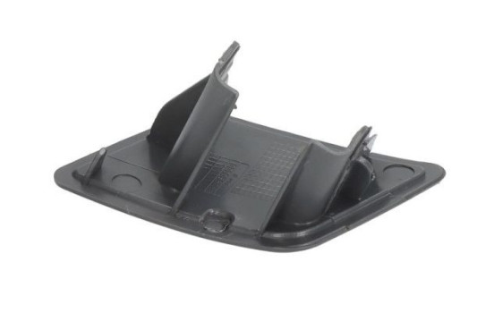 Plate, bumper, Image 2