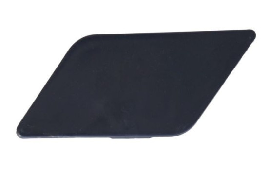 Plate, bumper