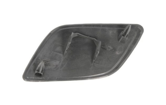 Plate, bumper, Image 2