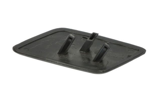 Plate, bumper, Image 2