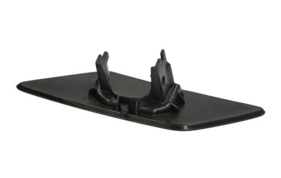 Plate, bumper, Image 2