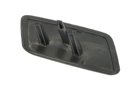 Plate, bumper, Image 2