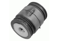 Bus, cabin bearing