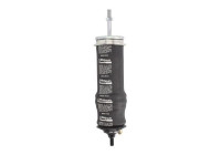 Damper, cabin suspension