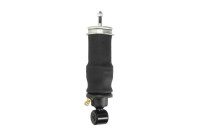 Damper, cabin suspension