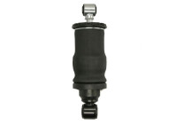 Damper, cabin suspension