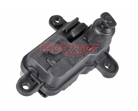 Adjusting element, tank valve