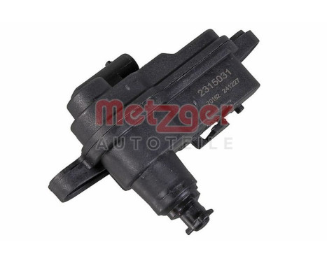 Adjusting element, tank valve