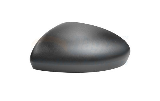 Cover, exterior mirror 4403841 Hagus