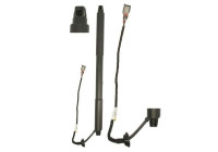 Electric Gas Spring, Tailgate