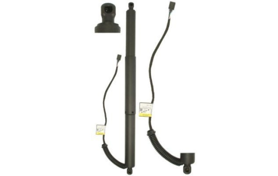 Electric Gas Spring, Tailgate