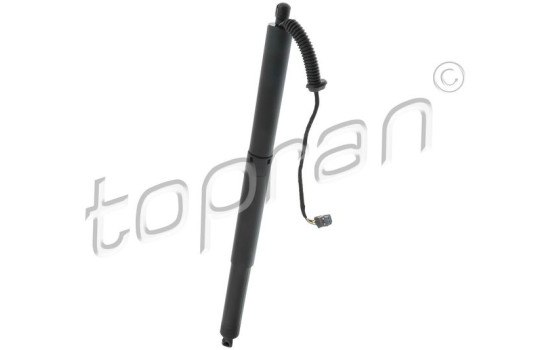 Electric motor, tailgate 121 202 Topran