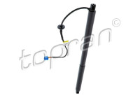 Electric motor, tailgate 633 213 Topran