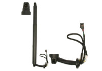 Electric motor, tailgate