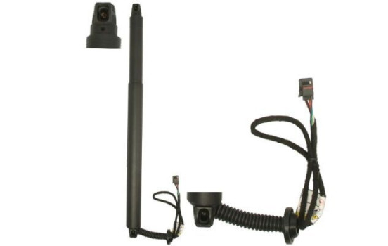 Electric motor, tailgate