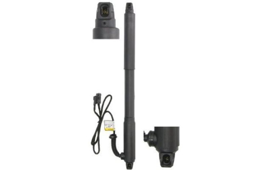 Electric motor, tailgate