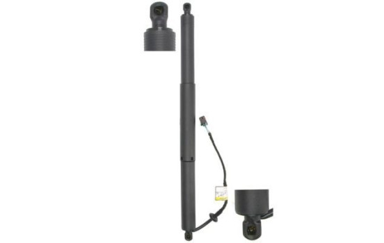 Electric motor, tailgate