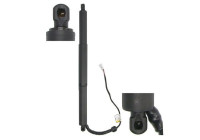 Electric motor, tailgate