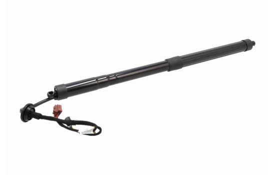 Electric motor, tailgate, Image 4