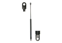 Gas Damper, Rear Window