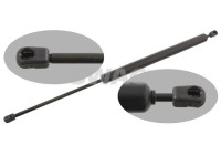 Gas pressure spring
