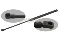 Gas pressure spring