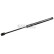 Gas pressure spring