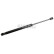 Gas pressure spring, Thumbnail 2