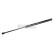 Gas pressure spring