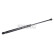 Gas pressure spring, Thumbnail 2