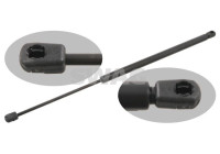 Gas pressure spring
