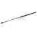 Gas pressure spring