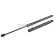 Gas pressure spring, Thumbnail 2