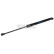 Gas pressure spring